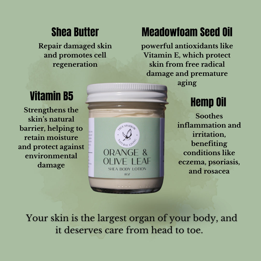 Orange & Olive Leaf Body Lotion